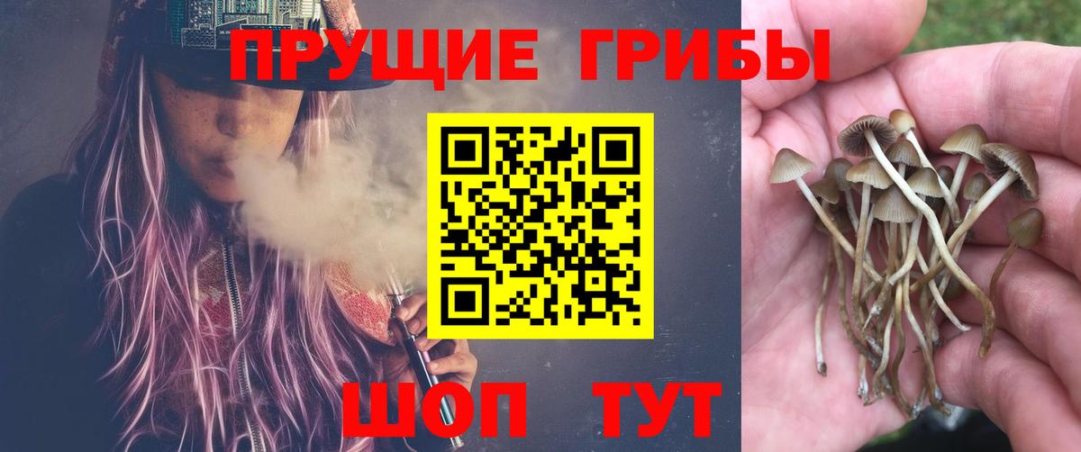 Галлюциногенные грибы Magic Shrooms Богданович