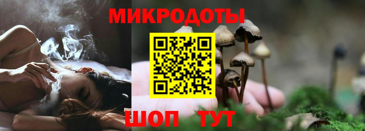 Богданович  Псилоцибиновые грибы GOLDEN TEACHER  Галлюциногенные грибы ЛСД  Вход с VPN 